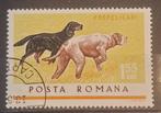 Roemenie Honden Michel 2476 Gestempeld, Ophalen of Verzenden, Overige landen, Gestempeld