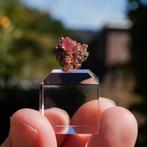 Rhodochrosiet uit Mexico #19, Verzamelen, Mineralen en Fossielen, Ophalen of Verzenden, Mineraal