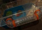 Hamster hok, Dieren en Toebehoren, Minder dan 60 cm, Gebruikt, Minder dan 75 cm, Ophalen of Verzenden