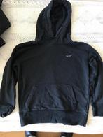 Hollister Hoodie, Ophalen of Verzenden, Zo goed als nieuw, Trui of Vest
