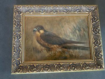 Cornelis le Mair . Eindhoven . valk . olieverf paneel beschikbaar voor biedingen