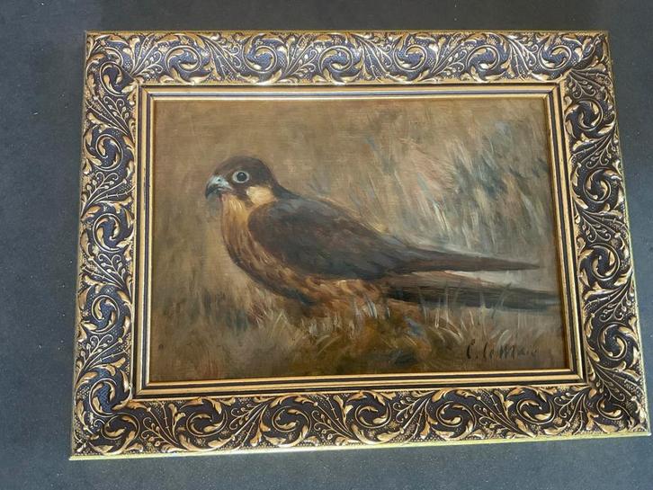 Cornelis le Mair . Eindhoven . valk . olieverf paneel, Antiek en Kunst, Kunst | Schilderijen | Klassiek, Ophalen