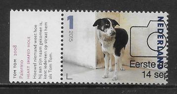 2015, Charlotte Dumas, Tom Tom [3335] (K2708) beschikbaar voor biedingen