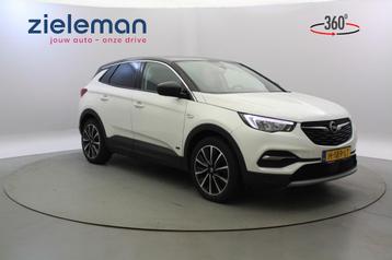 Opel GRANDLAND X 1.6 Turbo Hybrid4 Business Executive - Carp beschikbaar voor biedingen