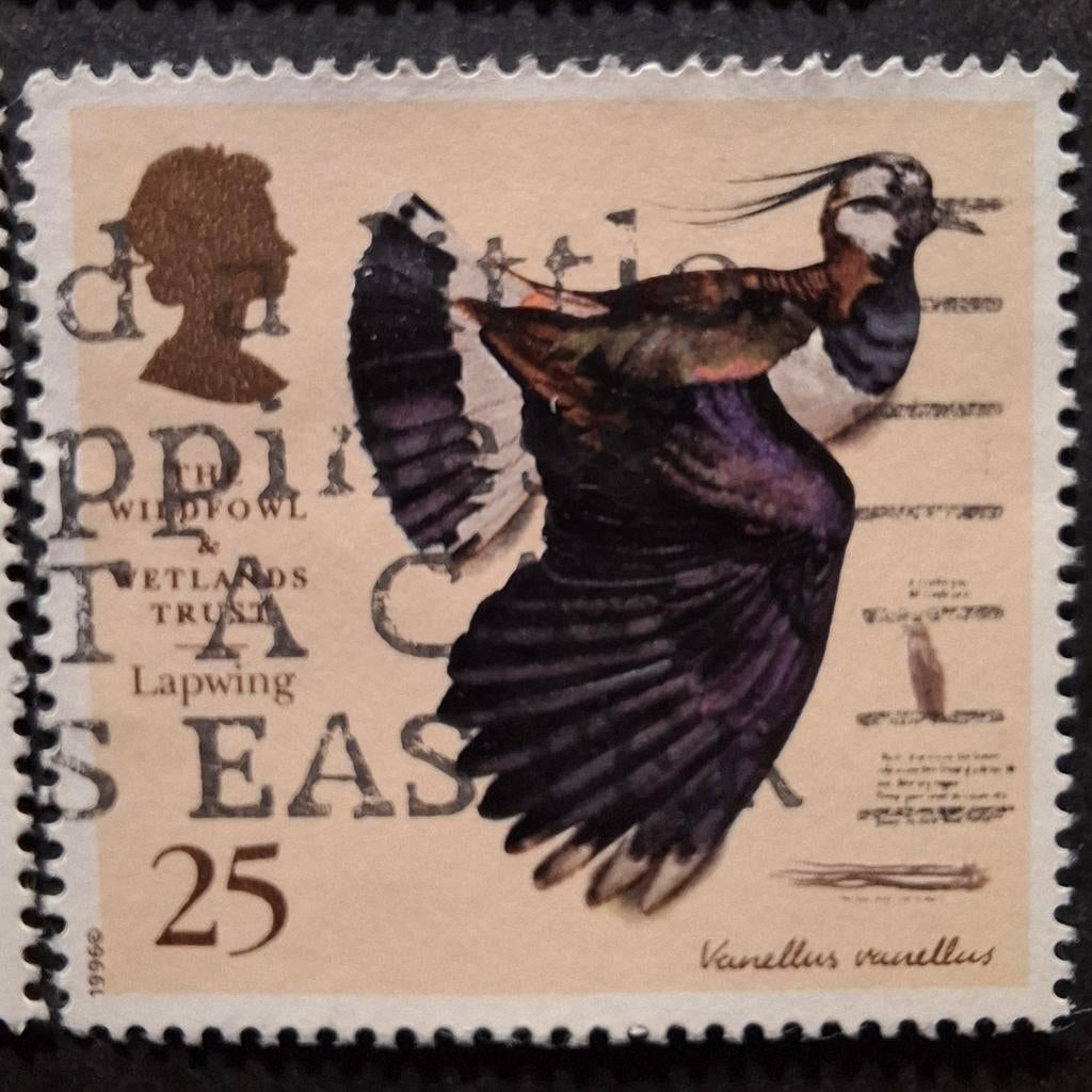 Engeland 872 kievit, Ophalen of Verzenden