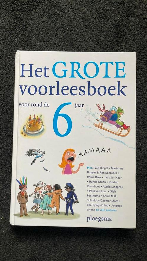 Het grote voorleesboek voor rond de zes jaar, Boeken, Kinderboeken | Jeugd | onder 10 jaar, Zo goed als nieuw, Sprookjes, Ophalen of Verzenden