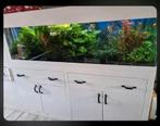 2meter aquarium met Sump, Ophalen, Zo goed als nieuw