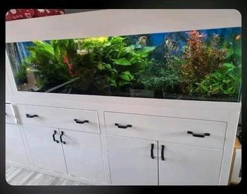 2meter aquarium met Sump  beschikbaar voor biedingen