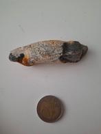 Interessant Fossiel?, Ophalen, Fossiel