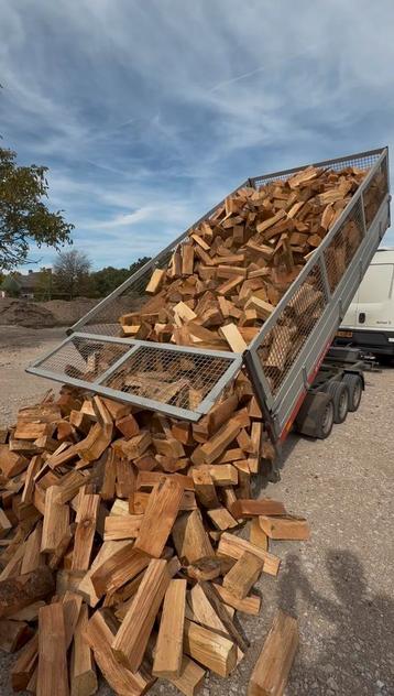 Haardhout droog - GRATIS aanmaakhout - Eiken en Beuken beschikbaar voor biedingen