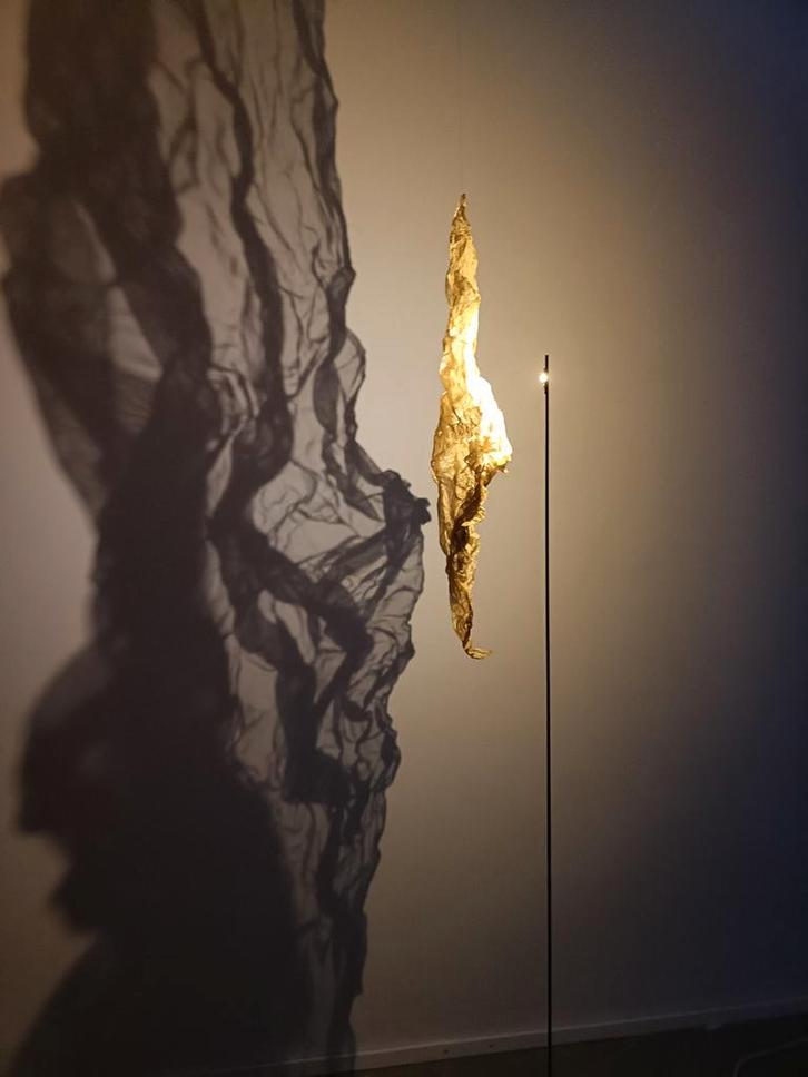 Catellani & Smith, Shadow vloerlamp, Huis en Inrichting, Lampen | Vloerlampen, Ophalen