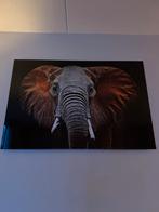 Glazen schilderij met olifant, 120x80 cm, Ophalen, Zo goed als nieuw, Schilderij, 100 tot 125 cm