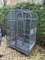 Oerdegelijke dubbele papegaaien kooi ( ara formaat ), Meerdere dieren, Parkiet