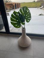 Monstera bladeren, nieuw!, Ophalen of Verzenden, Nieuw, Binnen