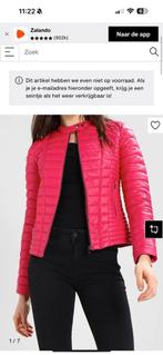 Jas van guess Maat M, Ophalen of Verzenden, Zo goed als nieuw, Rood