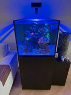Red sea reefer xl200 g2 zeeaquarium, Dieren en Toebehoren, Vissen | Aquaria en Toebehoren, Ophalen of Verzenden, Zo goed als nieuw