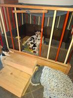 Puppies kruising boerenfox x jack russel, Dieren en Toebehoren, Rabiës (hondsdolheid), 8 tot 15 weken, Meerdere, Meerdere dieren