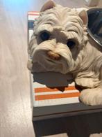 Honden drink bak of voerbak, Dieren en Toebehoren, Ophalen of Verzenden, Zo goed als nieuw