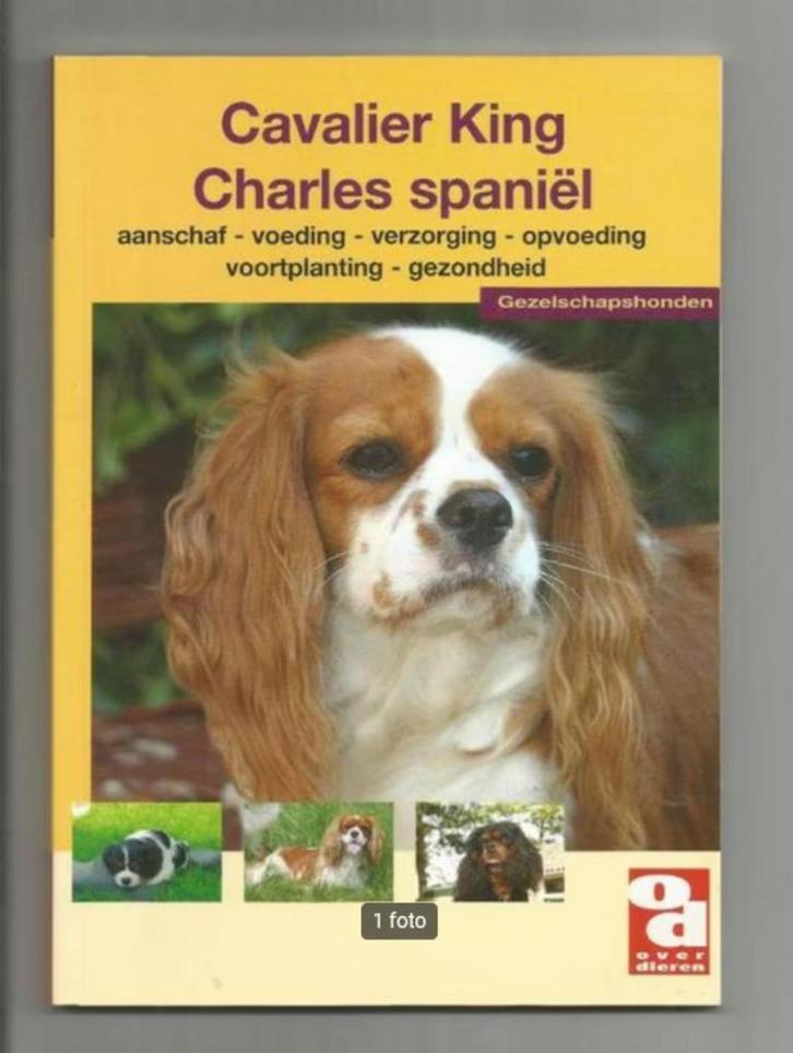Cavalier King Charles spaniel - Jos Dekker e.a., Boeken, Dieren en Huisdieren, Nieuw, Honden, Ophalen of Verzenden