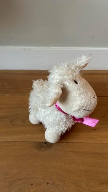Leuk schaap beschikbaar voor biedingen