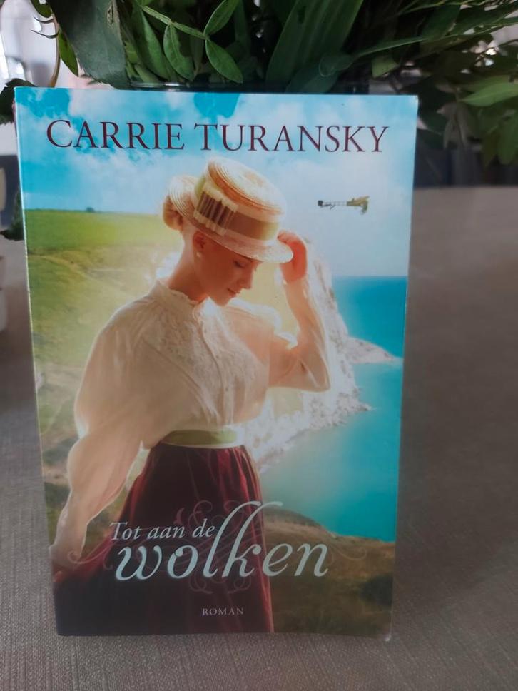Carrie Turansky - Tot aan de wolken, Boeken, Romans, Gelezen, Nederland, Ophalen of Verzenden