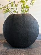 Vaas Rayskin Light & Living - Zwart, Huis en Inrichting, Woonaccessoires | Vazen, Ophalen, Overige materialen, Zwart, Nieuw