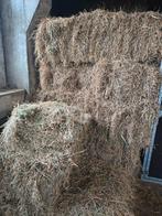 Mooi hooi in kleine balen, Ophalen, Vee