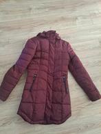 Gaastra.  Cassis kleurige winterjas maat S, Kleding | Dames, Jassen | Winter, Ophalen of Verzenden, Zo goed als nieuw, Maat 36 (S)