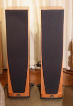 Spendor S9 zuilen, Overige merken, Gebruikt, Verzenden, 120 watt of meer