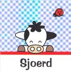 Sjoerd, Ophalen of Verzenden, 2000 tot heden, Geboortekaartje