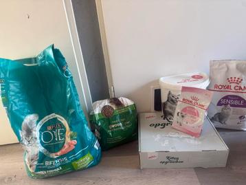 Kitten/katten voer ter overname beschikbaar voor biedingen