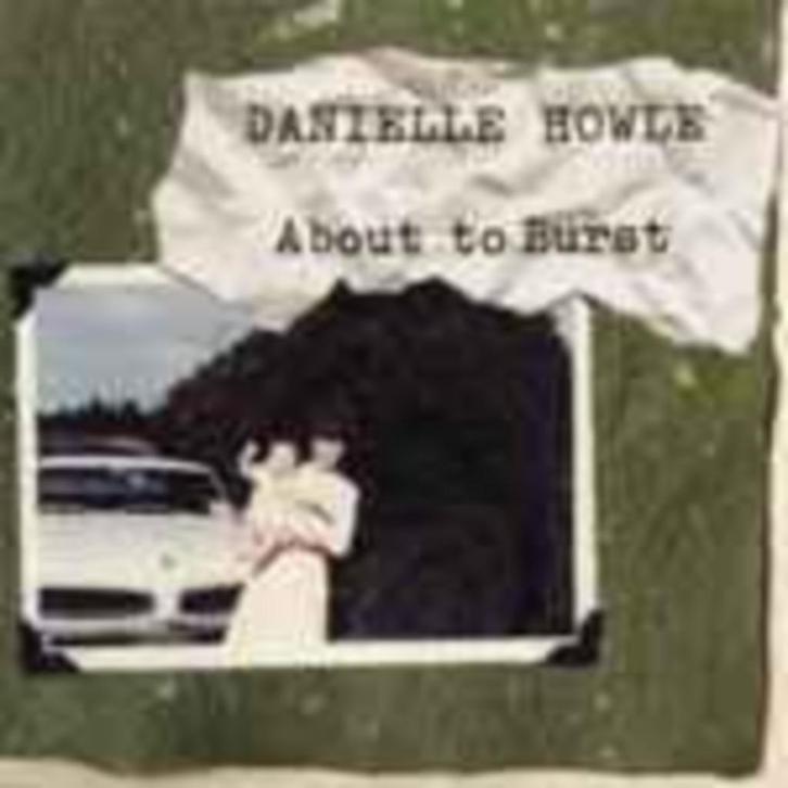 Danielle Howle, Cd's en Dvd's, Cd's | Rock, Zo goed als nieuw, Ophalen of Verzenden