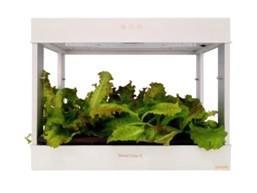 OPCOM kweek box, Tuin en Terras, Kweekspullen, Nieuw, Kweekbak, Ophalen of Verzenden