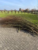 Gratis ophalen wilgen takken van knotwilg, Minder dan 3 m³, Ophalen