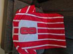 Psv vanenburg voetbalshirt, Ophalen of Verzenden, Zo goed als nieuw, Shirt