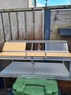 Nette spoetnik, Dieren en Toebehoren, Vogels | Duiven