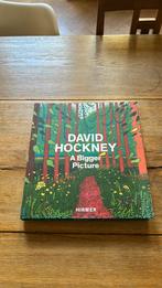 David Hockney - A bigger picture, Ophalen of Verzenden, Zo goed als nieuw, Schilder- en Tekenkunst