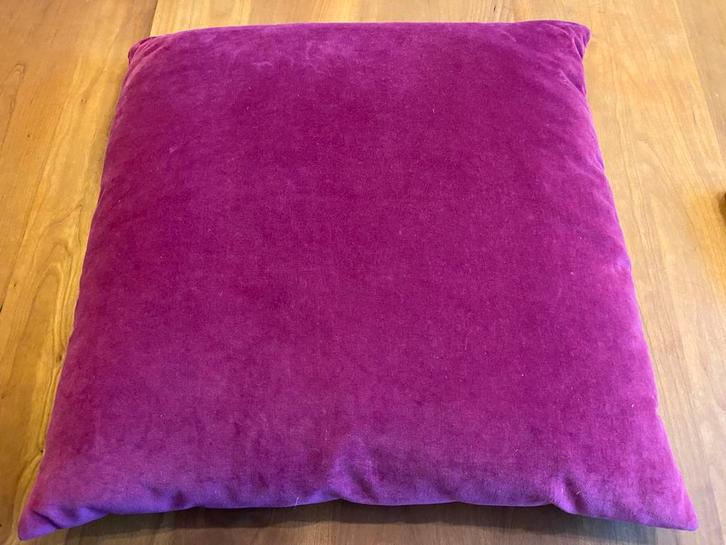 Zgan 2 sierkussens 45x 45cm, Huis en Inrichting, Woonaccessoires | Kussens, Zo goed als nieuw, Vierkant, Ophalen of Verzenden