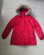 Tommy Hilfiger Dames Parka Wnterjas, Kleding | Dames, Ophalen of Verzenden, Maat 36 (S), Gedragen, Rood