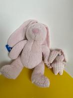 2294 Jellycat Jelly cat konijn roze met speeldoosje, Ophalen of Verzenden, Zo goed als nieuw, Overige typen