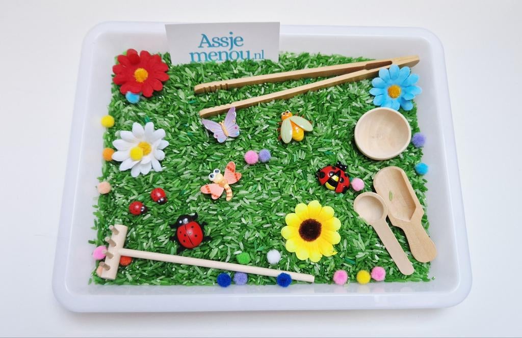 Speelrijst Pakket Bugs - Sensorisch Spel, Ophalen of Verzenden, Nieuw, Knutselen