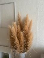 Pampasgras decoratie, Ophalen of Verzenden, Nieuw