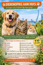 Dierenverzorging aan huis, Ophalen, Zo goed als nieuw, Beeldje of Figuurtje