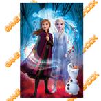 NIEUW Frozen 2 Guided Spirit Poster 61x91cm, Nieuw, Ophalen of Verzenden
