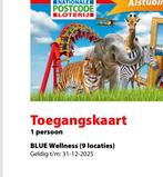 4 toegangskaarten Blue welness