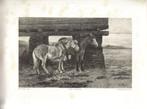 F. H. Weissenbruch litho "Twee Paarden", druk J.D.Steuerwald, Antiek en Kunst, Ophalen