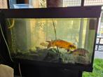 juwel aquarium, Dieren en Toebehoren, Vissen | Aquaria en Toebehoren, Ophalen, Gebruikt, Leeg aquarium