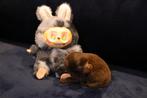 Pomeriaan pups te koop, 8 tot 15 weken, Teef, Meerdere, Nederland