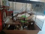 Hamster kooi inclusief accessoires, Ophalen, Gebruikt