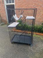 Bench, kattenbench, konijnenbench, Ophalen, Zo goed als nieuw